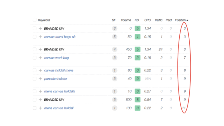 A keyword ranking table shows various keywords with metrics including search volume, keyword difficulty, CPC, traffic, and their current positions, with positions highlighted in a red oval. | Miss Cieline